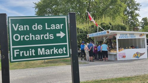 Reportaj FOTO-VIDEO | Niagara, o altfel de filosofie agricolă: crame de familie, mese la fermă, cu bucate din gospodăria proprie și evenimente culturale/ Cum pot schimba cramele-boutique viața economică și turistică a unei comunități!