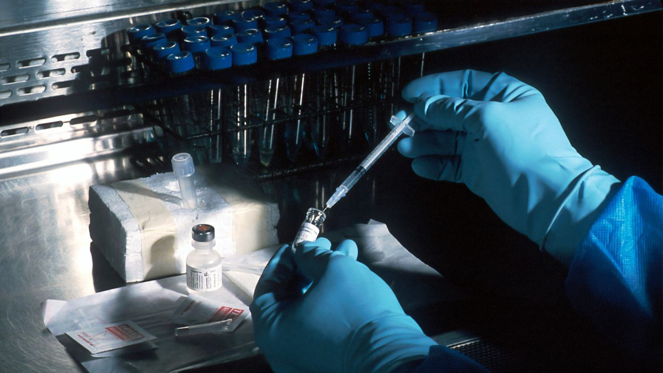 Cercetătorii israelieni au descoperit o nouă metodă de distrugere a tumorilor canceroase