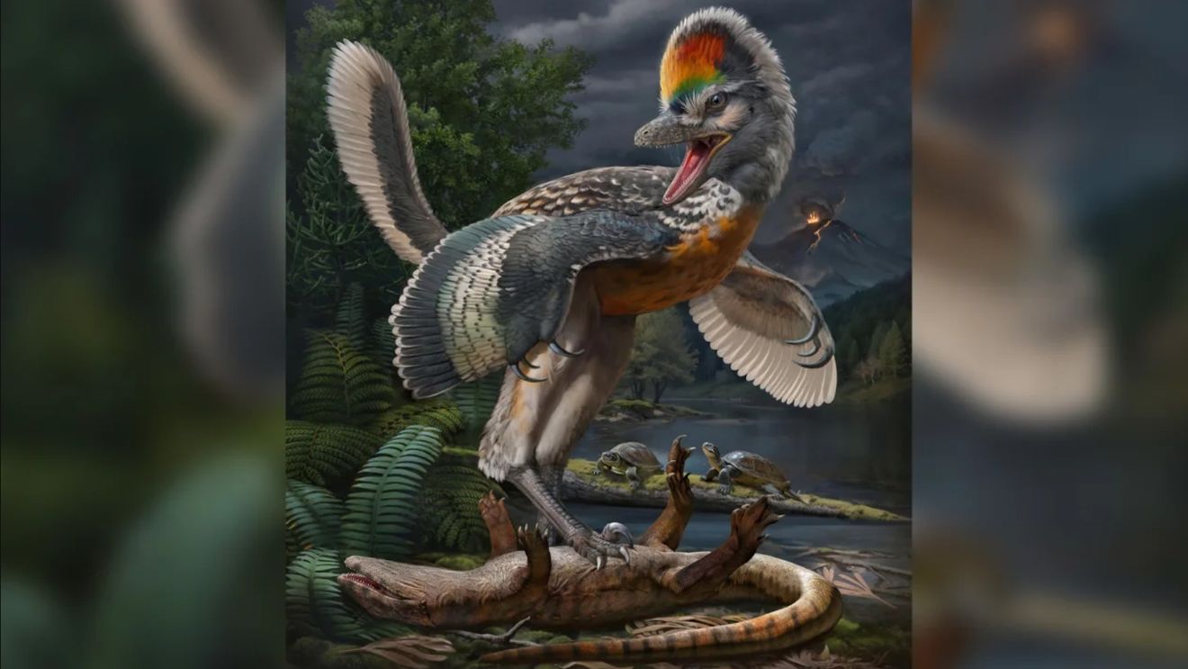 Un studiu dezvăluie când au trăit pe Pământ primii dinozauri cu sânge cald