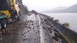 S-a realizat în România prima hartă a zonelor cu risc de căderi de roci / ”Acolo unde pădurea acoperă compact peste 87% din suprafață, probabilitatea producerii unei căderi de roci scade sub 2,2%” / ”Poate ghida studiile de fezabilitate pentru infrastructura montană” 