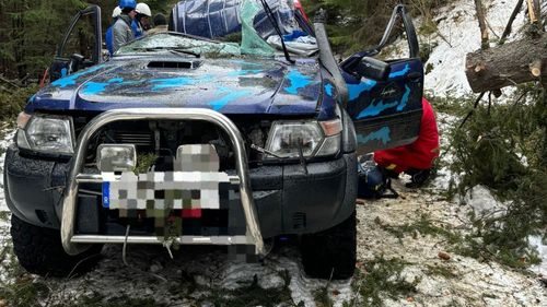 Arbore căzut peste un autoturism în zona localității Tău Bistra din județul Alba / O persoană încarcerată a fost salvată de pompieri