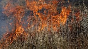 Peste 1000 de hectare de pădure, mistuite de un incendiu în Spania/ Nu se cunoaște cauza incendiului