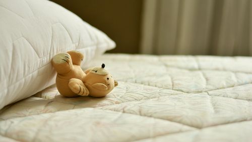 Și adulții pot dormi cu animale de pluș - ar putea fi chiar un lucru bun, spun experții