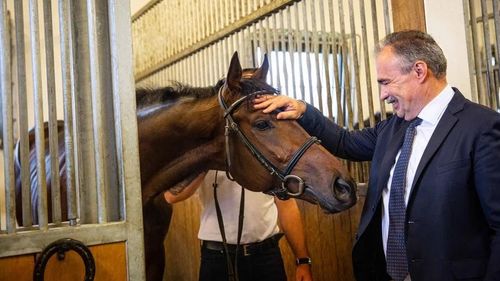 Ministrul ungar al agriculturii a lansat programul de sprijinire a creşterii cailor în Transilvania