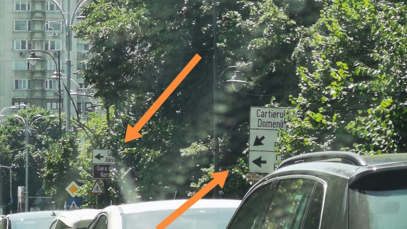Pericolul din copaci: zeci de semafoare și indicatoare rutiere din București sunt obturate de vegetație și stâlpi