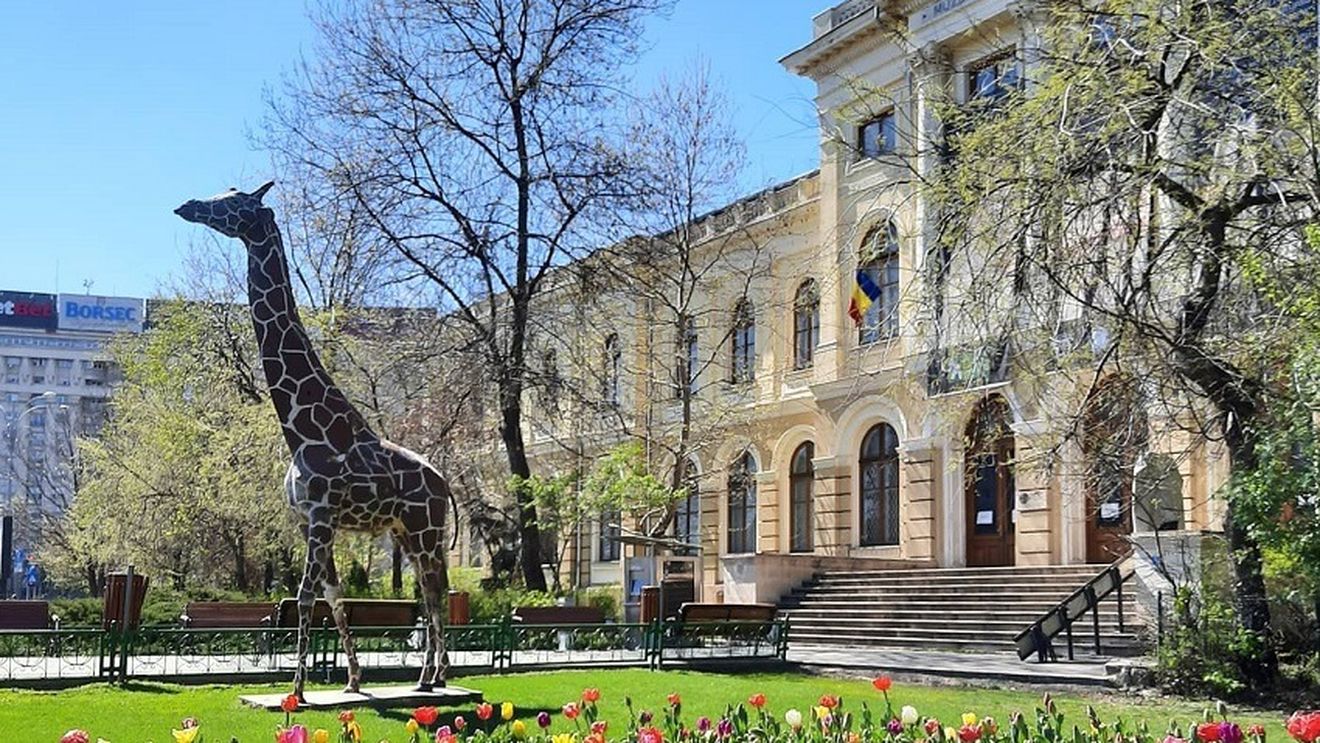 Muzeul Antipa se redeschide pe 1 iunie