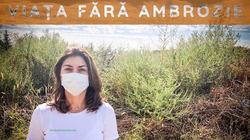 Amenzi majorate pentru persoanele care nu distrug ambrozia de pe terenurile pe care le dețin / Controalele pot fi realizate și de Garda de Mediu și poliția locală, nu doar de primării