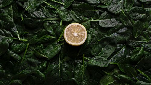 5 alimente care sunt pline de electroliți, potrivit dieteticienilor / Ce sunt electroliții? / Mineralele nu se găsesc doar în băuturile pentru sportivi