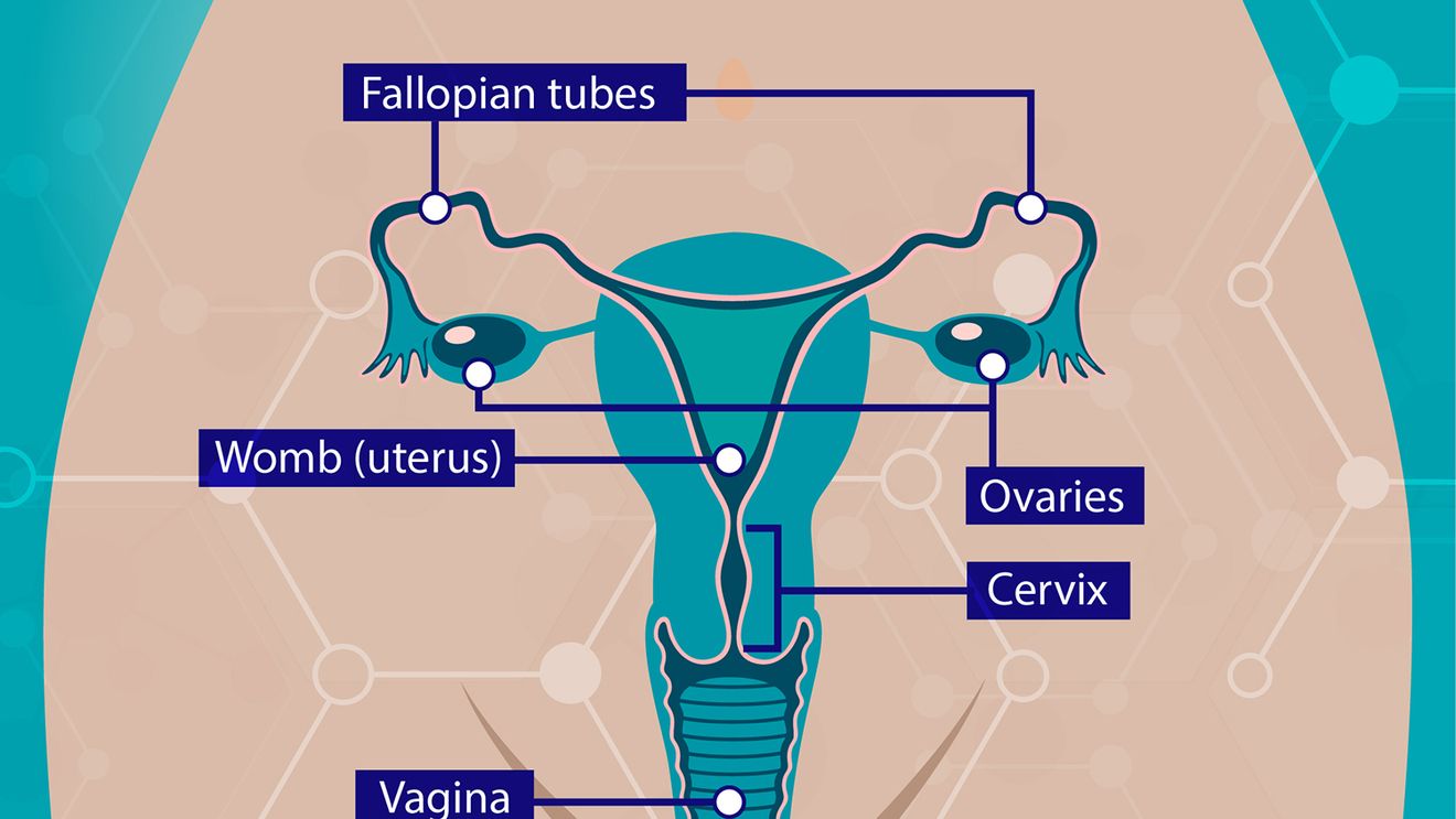 O metodă de a contracara rezistența la chimioterapie în cancerul ovarian, descoperită de cercetători de la Imperial College London