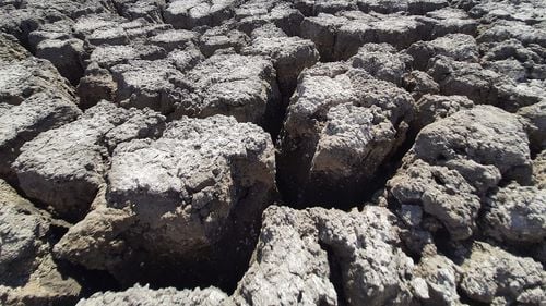 Senatorul Mihai Goțiu cere Ministerului Mediului să trimită Corpul de control pentru a verifica cum a fost posibil ca un lac de 851 de hectare să sece în totalitate, în județul Constanța