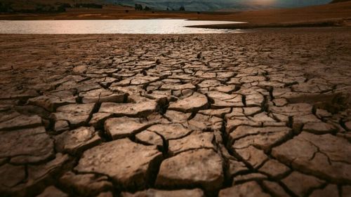 Prea cald pentru o primăvară: Fermierii din Arad reclamă că pământul crapă din cauza secetei şi estimează pierderi de 30% la culturile de toamnă