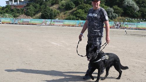 Două zile până la startul Neversea, festivalul de pe plaja din Constanța. Mii de jandarmi, polițiști și agenți antidrog vor supraveghea evenimentul, alături de 700 de agenți de securitate privați