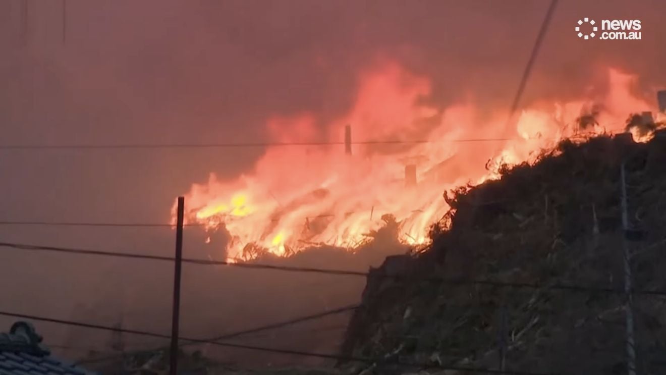 Japonia mobilizează peste 2.000 de pompieri în lupta împotriva unor incendii de pădure de amploare