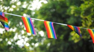 Asociație LGBT: Anularea evenimentului „Tramvaiul Rainbow” de către STB reprezintă un abuz și o discriminare fățișă / Solicităm primarului Nicușor Dan să intervină