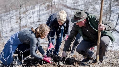 Raluca Turcan, după ce s-a înghesuit într-o remorcă cu opt persoane, între care și un copil, toți fără mască: Am solicitat să fiu amendată