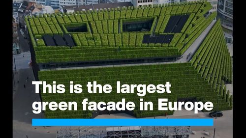 VIDEO Cum arată clădirea cu cea mai mare fațadă verde din Europa: 30.000 de plante formează 8 kilometri de gard viu, care acoperă o suprafață egală cu patru terenuri de fotbal