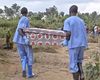 Semnal de alarmă pentru epidemia de Ebola din Africa Centrală: Aproape 500 de cazuri confirmate / Ar putea deveni una dintre cele mai ample epidemii din istorie, anunță Organizația Mondială a Sănătății