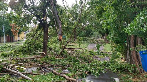 Comitetul pentru situaţii de urgenţă, convocat la Ministerul Mediului, ca urmare a avertizărilor meteorologilor şi hidrologilor / Mircea Fechet: „Ne aşteptăm la fenomene deosebite, în special vijelii, aşa cum s-a întâmplat în Oradea”