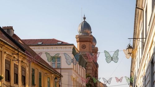 Timișoara va avea propria firmă de salubritate stradală / Primar: ”Utilajele nu vor fi achiziționate până la începutul serviciului, ci vor fi închiriate”