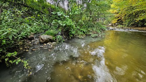 Ministrul Mediului: Numărul persoanelor care vor avea şi atribuţii de inspecţie pe domeniul Ape se va dubla, de astăzi