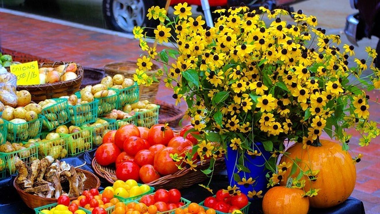 Cartofii şi citricele sunt alimentele care s-au scumpit cel mai mult în primele șapte luni, creșterile de prețuri fiind de peste 20%