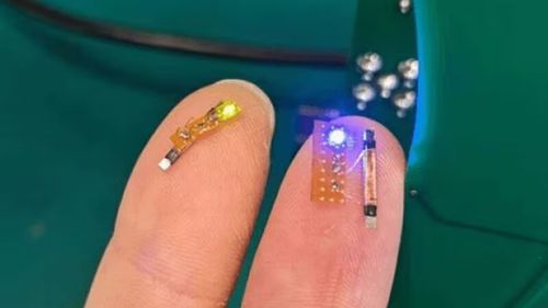 Cipul Starfish, creat cu sprijinul CEO-ului Valve, ar putea revoluționa conexiunea creier-computer