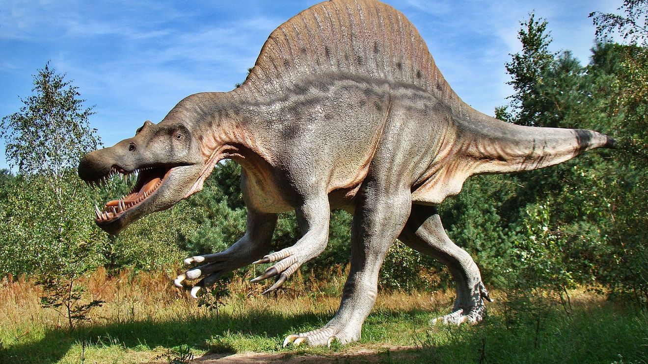 STUDIU Supremaţia dinozaurilor, povestită de rămăşiţele fosilizate din sistemul lor digestiv