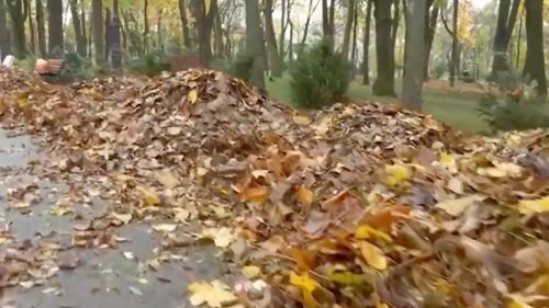 VIDEO La Iași, tone de frunze sunt adunate zilnic din cele două parcuri municipale și transformate în compost / Investiția în stația de compost a fost de 400.000 de lei