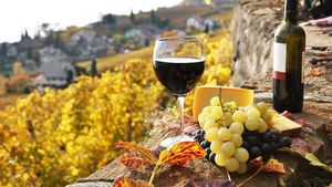 Franța se așteaptă la o producție mai mare de vin în 2020, după scăderea de anul tercut/ Producătorii din regiunea Champagne au fost de acord să reducă cantitatea de struguri recoltată pentru a face faţă colapsului vânzărilor