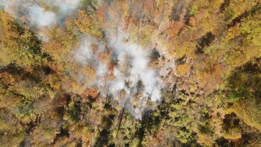 incendiu valea doftanei platinu, incendiu pădure, incendiu vegetație