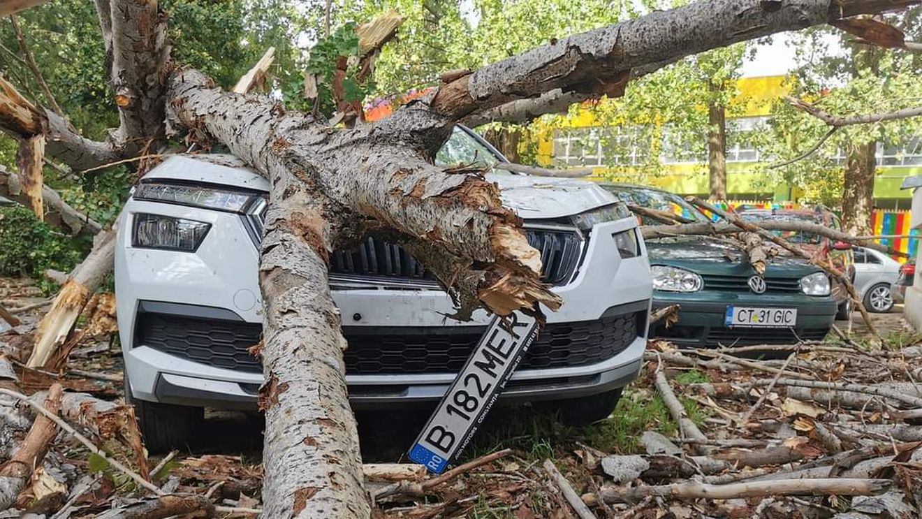 19 mașini lovite de copacii doborâți de vânt în București