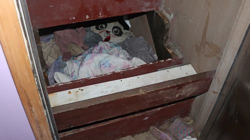 O fetiță americană de 4 ani, dispărută din 2019, a fost găsită în viață, ascunsă într-o cameră improvizată / A fost răpită de părinții naturali, decăzuți din drepturi