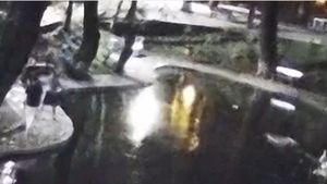 VIDEO Câțiva tineri au distrus parțial iazul recent amenajat în Parcul Kiseleff / Primarul Clotilde Armand a cerut poliției să îi identifice și anunță că va depune plângere penală