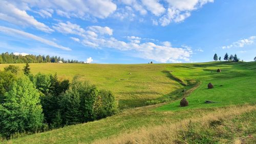 Pe toată Via Transilvanica. Ziua 3: am găsit locul unde a fost compusă Miorița (Turnul Sfatului)