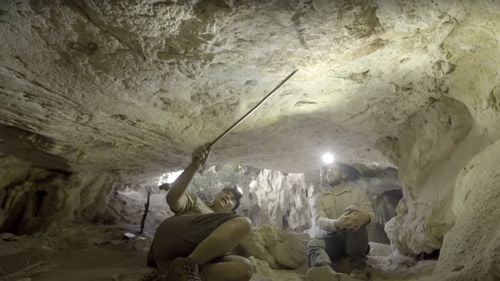 În Indonezia a fost descoperită cea mai veche artă rupestră din lume, care înfățișează oameni și un porc