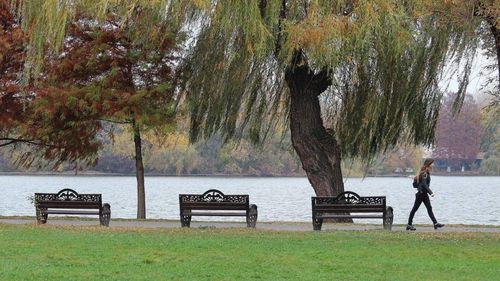 Primăria Sectorului 1 vrea să preia în administrare fostul complex Tineretului pentru a amenaja un parc sportiv