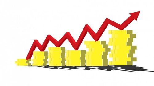 Economia românească a crescut cu numai 5,6% în 2021, după o scădere în ultimul trimestru. Recesiunea, evitată „la mustață”