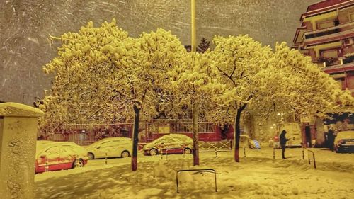 Ninsoarea-record din Madrid a provocat daune de 1,7 miliarde de dolari