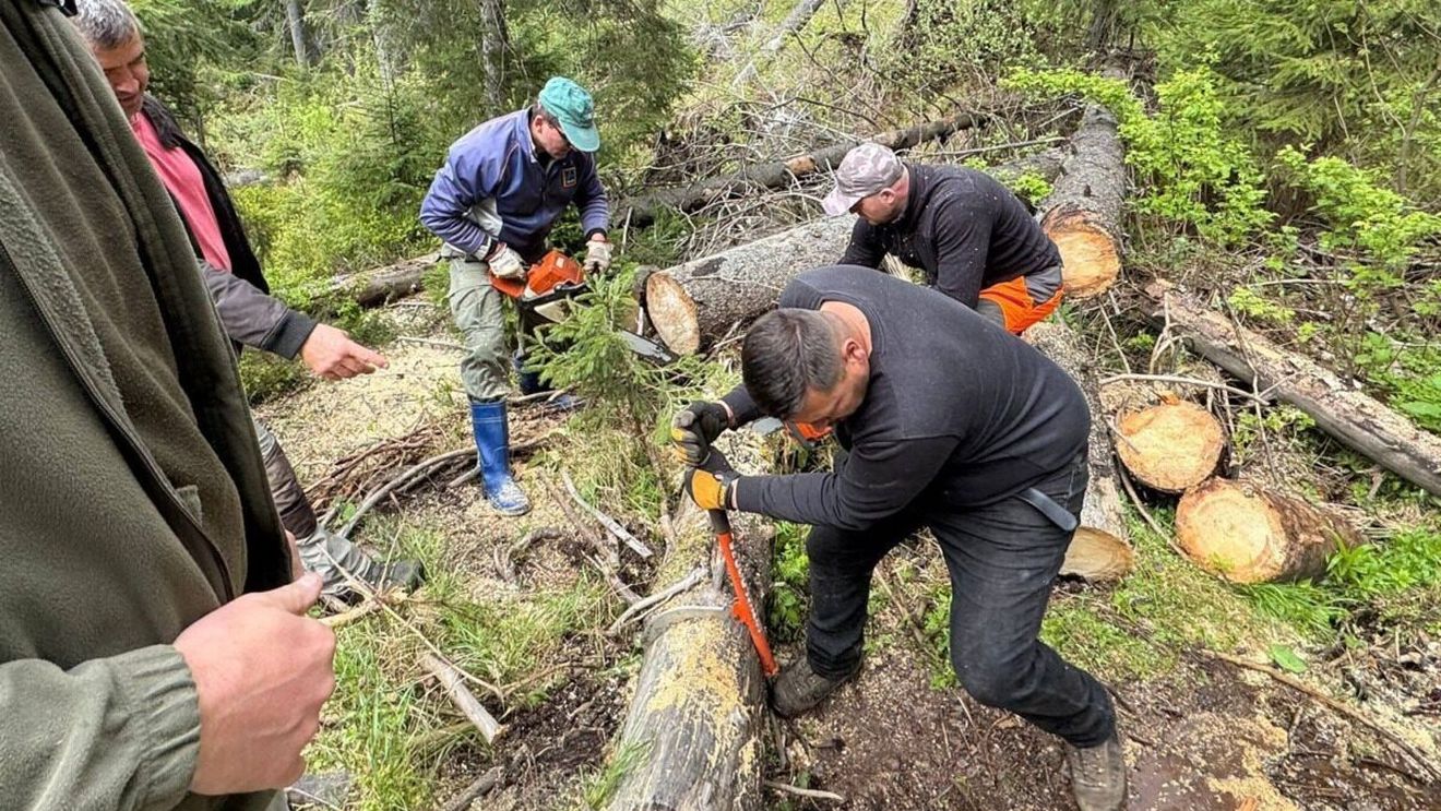 Traseul „Circuitul Someșului Cald” din Parcul Natural Apuseni a fost redeschis complet după ce a fost afectat grav de o furtună. Este una dintre cele mai complexe rute carstice