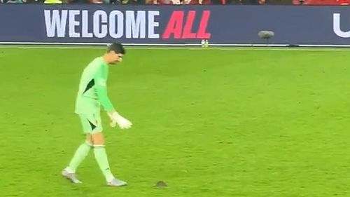 VIDEO Faza zilei: Un șobolan a întrerupt meciul de fotbal dintre Țara Galilor și Belgia