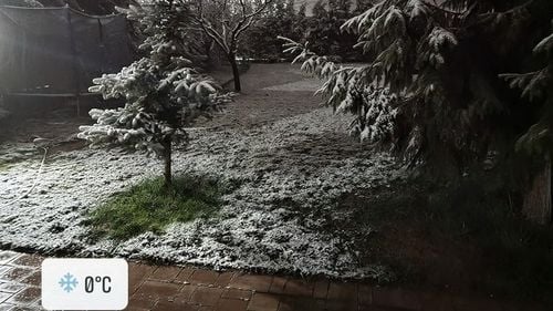 Zăpada mieilor în Bihor: Localnicii s-au trezit cu copacii înfloriți, dar acoperiți de ninsoare