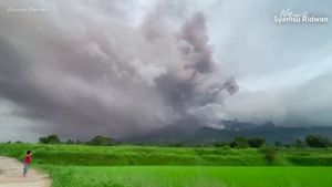 11 alpiniști morți și alți 12 dispăruți, după erupția unui vulcan în Indonezia
