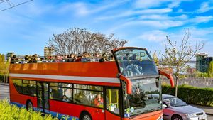 Traseu deviat la Constanța pentru autobuzele etajate de pe linia City Tour din cauza cozilor formate de tiruri în portul maritim