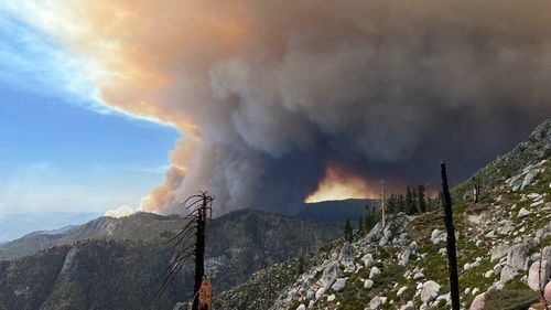 Un incendiu de vegetaţie ameninţă pădurea seculară de sequoia gigant din California de peste 2000 de ani / Incendiul Garnet arde în Pădurea Națională Sierra de două săptămâni