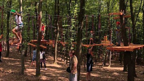 Trasee de biking în zona pârtiei Cocoș/ A fost redeschis parcul de aventură din vârful pârtiei