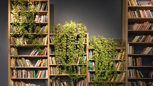 Aranjarea bibliotecii, adusă la rang de artă: Cum pot juca cărțile favorite și rolul de decorațiuni