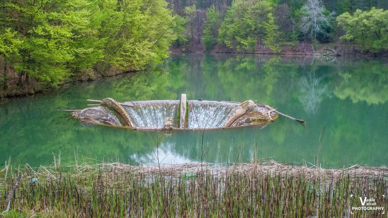 Lacul Vida din Bihor, salvat printr-o investiție europeană / Era colmatat în proporție de 80% / S-au scos de aici 15 mii de camioane de mâl