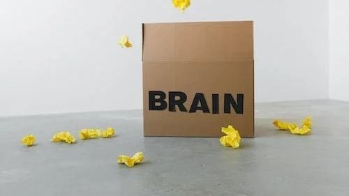 Publicație franceză: Peste un milion de ruşi au fugit din ţară de la începutul războiului  / Sectorul tehnologiei informaţiei este deosebit de afectat de exodul creierelor