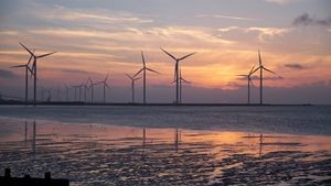 Producătorii de energie verde din Republica Moldova reclamă un tratament incorect din partea guvernului