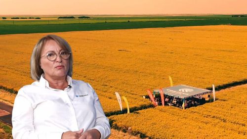 Video | Cum aleg fermierii români cei mai buni hibrizi, cu producții de 22 tone, la hectar / Maria Cîrjă (Corteva): „Este greu, în România, să spui că există un hibrid care se poate cultiva de la Constanța la Maramureș” 